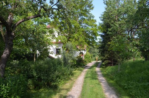 Zöld diófa - Panzió