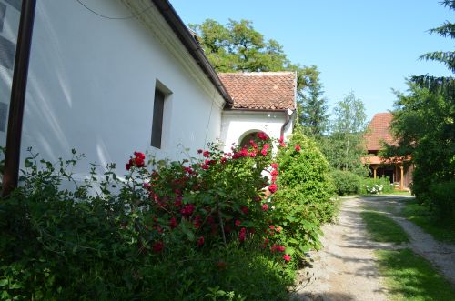 Zöld diófa - Panzió