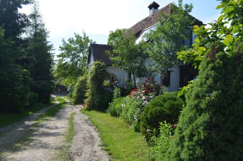 Zöld diófa - Panzió