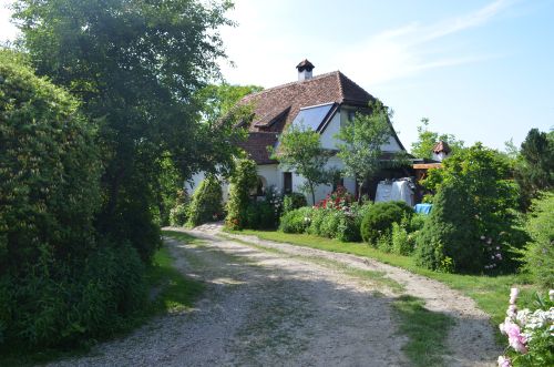 Zöld diófa - Panzió