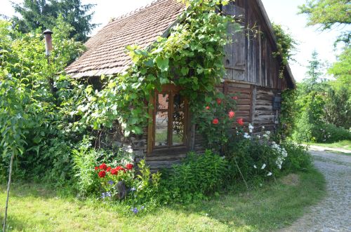 Zöld diófa - Panzió