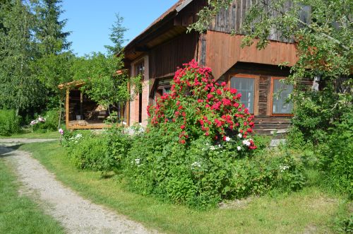 Zöld diófa - Panzió