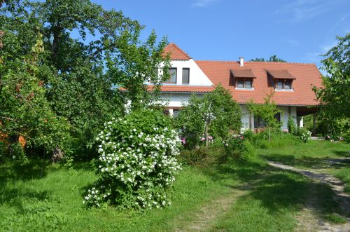 Zöld diófa - Panzió