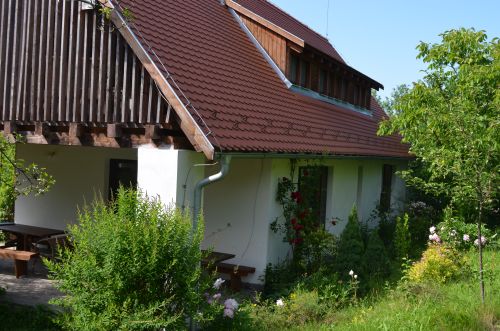 Zöld diófa - Panzió