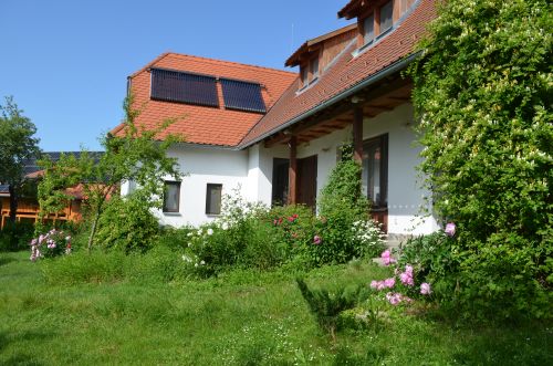 Zöld diófa - Panzió