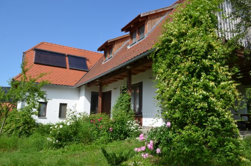 Zöld diófa - Panzió