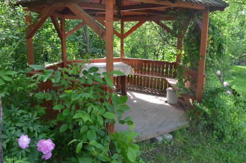 Zöld diófa - Panzió