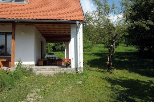 Zöld diófa - Panzió