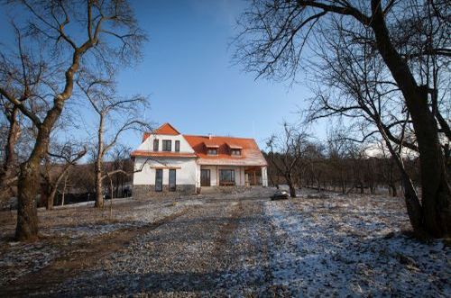 Zöld diófa - Panzió