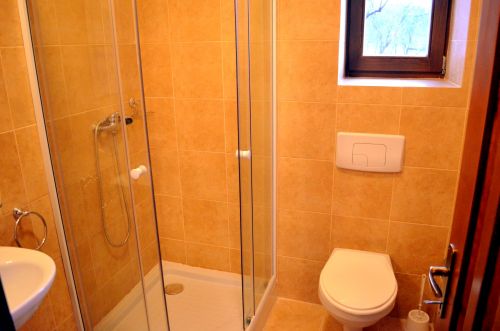 Zöld diófa - Panzió